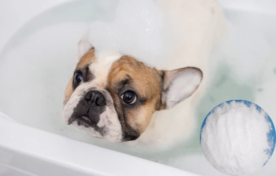 Salicylic acid pet care & grooming ingredients supplier