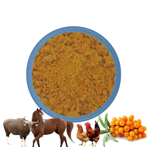 Buy sea buckthorn powder