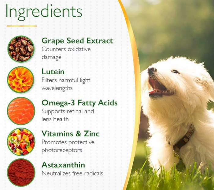 Grape Seed Extract Powder for Pet Supplements Benefits Grape Seed Extract Powder for Pet Supplements Benefits