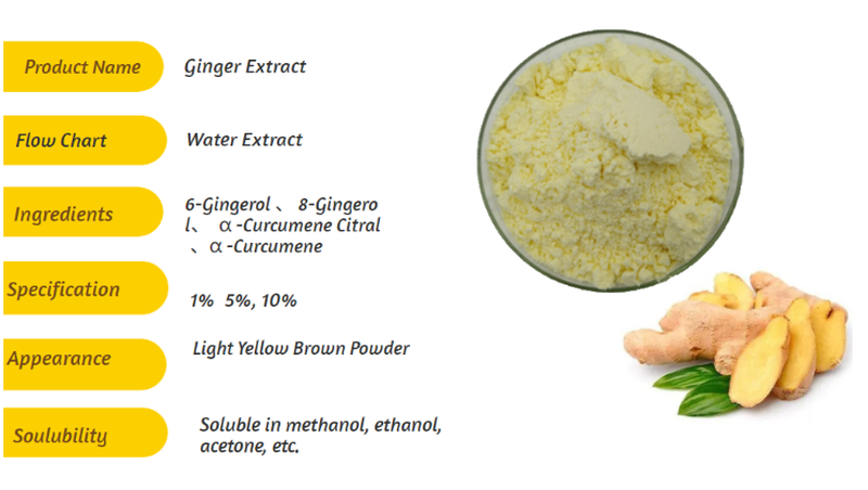 Buy ginger root powder Buy ginger root powder