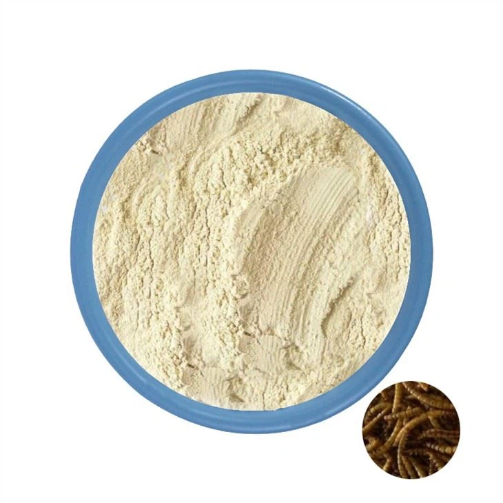 Insektenprotein