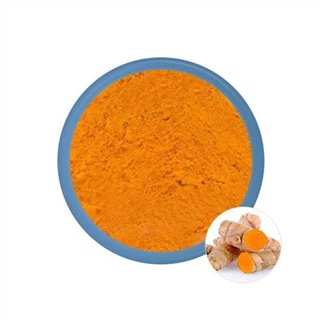 Curcumin-Extrakt