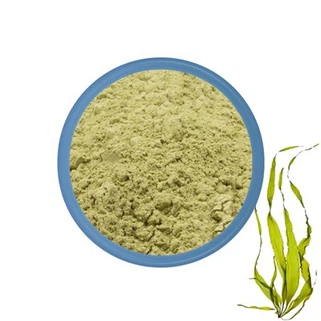 Bio -Seetangpulver
