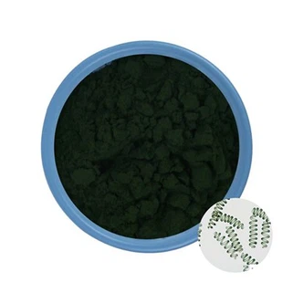 Spirulina-Pulver in großen Mengen im Großhandel