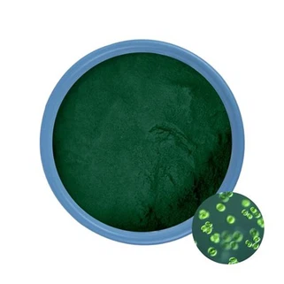Bio-Chlorella-Pulver, Großpackung