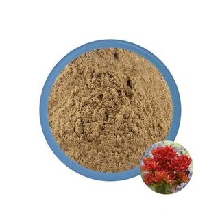 Rhodiola-Massenpulver